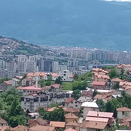 Pogled *